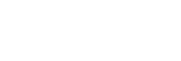 E-King Logo in weiß